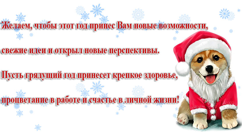 С НАСТУПАЮЩИМ НОВЫМ ГОДОМ!